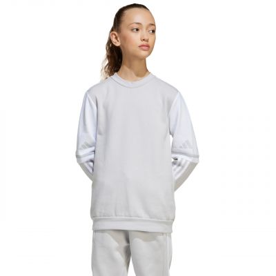 4. Adidas Squadra 25 Sweat Crew Jr JD4824 sweatshirt