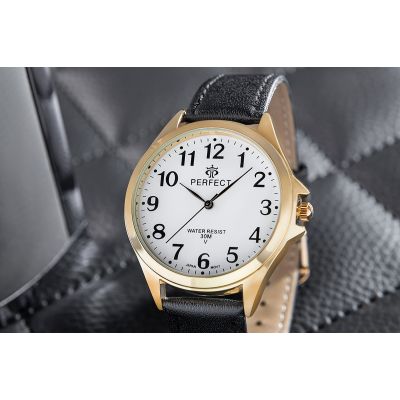 4. Men's Watch PERFECT GX412-11