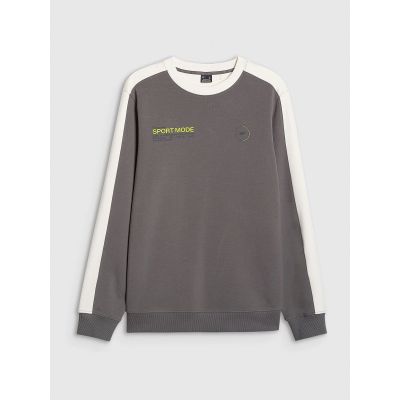 9. Men's sweatshirt without zipper, without hood, 4F 4FRAW25TSWSM2457-23S