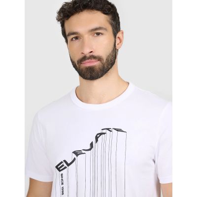 4. Men's regular printed T-shirt 4F 4FRAW25TTSHM3845-10S