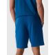 3. Shorts 4F M 4FWMM00TSHOM543-46S