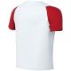 2. Nike Dri-Fit Academy II Kids' T-Shirt White and Red HV8168 102