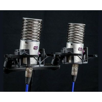 Aston Microphones Origin Stereo Pair Condenser Microphones