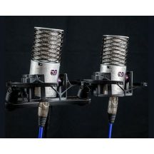 Aston Microphones Origin Stereo Pair Condenser Microphones