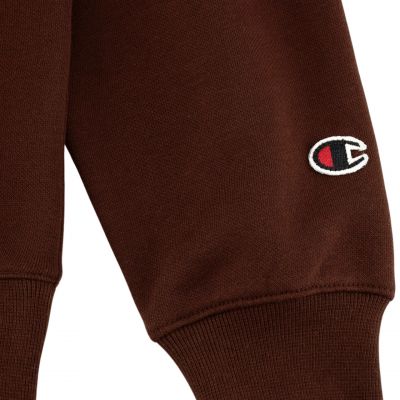 7. Champion Hooded Sweatshirt W 117530 MS524