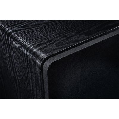 19. Magnat Alpha RS 12 active subwoofer black