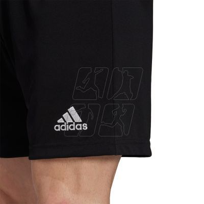 4. Adidas Entrada 22 M H57504 shorts