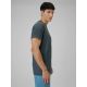 6. Men's quick-drying regular training T-shirt 4F 4FRSS26TFTSM2289-22S