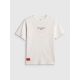 5. Boy's loose T-shirt with print 4F 4FJRSS26TTSHM3835-10S