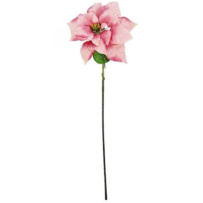 Poinsettia 30 cm, pink