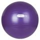 253. PROfit 55cm Gymnastics Ball with Pump DK2102