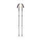 2. Black Diamond Alpine Carbon Cork Trekking Poles - Tundra