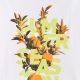 5. Women's T-shirt 4F F2721 white 4FWSS26TTSHF2721 10S