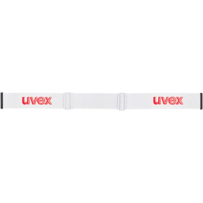 uvex Athletic CV race ski goggles