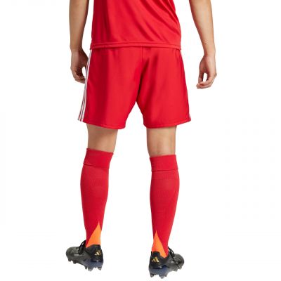 3. adidas Tastigo 25 M JN7157 shorts