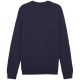 9. Puma Team Goal Casuals Crew Neck Sweat M 658592 06