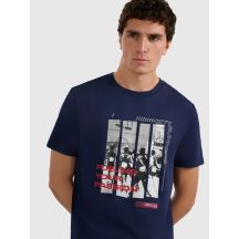 Men's regular printed T-shirt 4F 4FRAW25TTSHM3364-31S