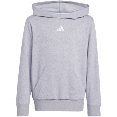 10. adidas Essentials Hoodie for kids gray JV9995