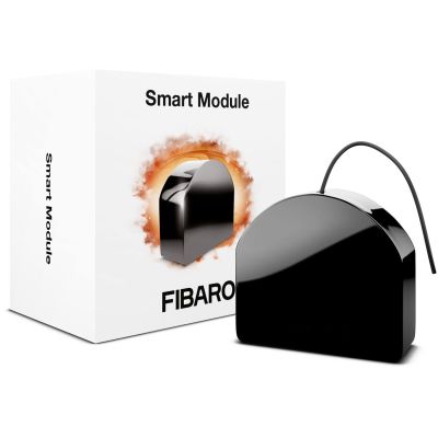 3. FIBARO Double Smart Module Electric Switch (FGS-224 ZW5)