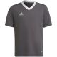 6. Adidas Entrada 22 Jsy Jr T-shirt H57499