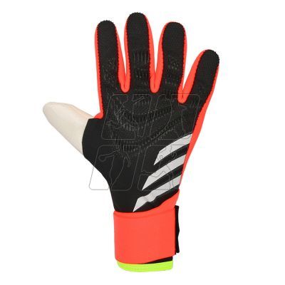 2. Adidas Predator GL Com M IN1602 goalkeeper gloves