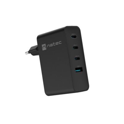 10. NATEC RIBERA GAN WALL CHARGER 3X USB-C 1X USB-A 100W BLACK