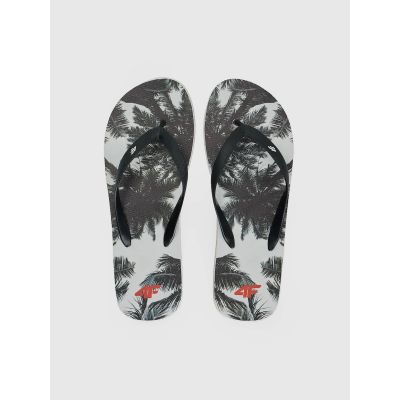 Men's flip-flops 4F 4FRSS26FFLIM246-21A
