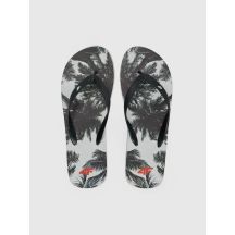 Men's flip-flops 4F 4FRSS26FFLIM246-21A
