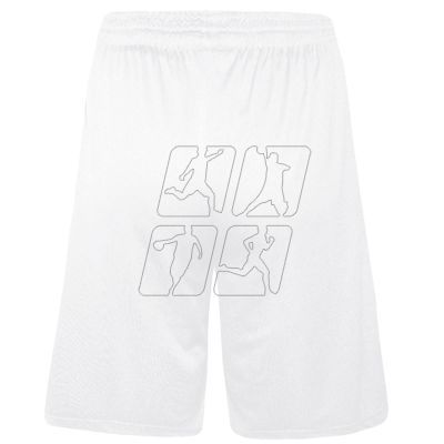 3. Colo Spring 05 Basketball Shorts