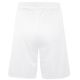3. Colo Spring 05 Basketball Shorts
