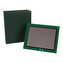 Green case with backing