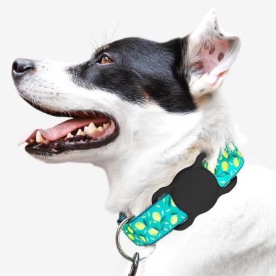 2. Wozinsky WEA-01 Apple AirTag Silicone Case for Dog or Cat Collar - Black
