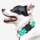 2. Wozinsky WEA-01 Apple AirTag Silicone Case for Dog or Cat Collar - Black