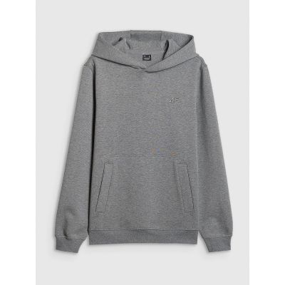 9. Men's regular hooded sweatshirt 4F 4FRSS26TSWSM2793-24M