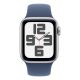 3. Apple Band MYJ13ZM/A Q601-0DV Blue