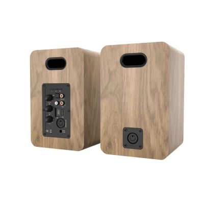 3. Blaupunkt BS50OK speakers brown