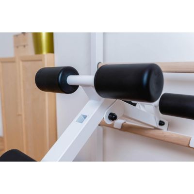 6. ROTATING EXERCISE BENCH WITH KNEE ROLLERS AND SEAT BENCHK B1W