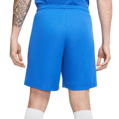 13. Nike Dry Park III NB M BV6855 463 Shorts