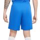 13. Nike Dry Park III NB M BV6855 463 Shorts