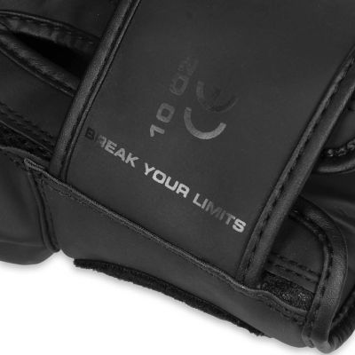 20. 10oz Boxing Gloves - Raptor - Origin Series