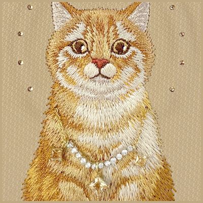 6. Nimmy Lucky Fashion Cat MagSafe case for iPhone 17 Pro Max - brown