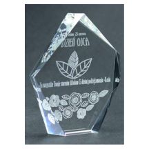 Engraved glass trophy with case