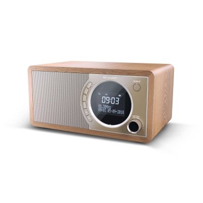3. Sharp DR-450(BR) digital radio with Bluetooth technology