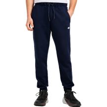 Men's trousers 4F CAS M1673 navy blue 4FWMM00TTROM1673 31S