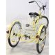 19. 24-INCH VANILLA 3-WHEEL BIKE 1-SPEED