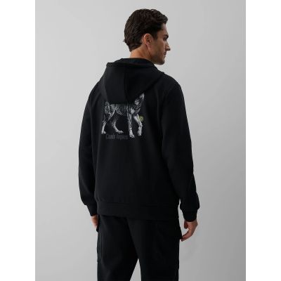 2. Men's regular hooded sweatshirt 4F 4FKAW26TSWSM3182-20S