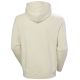 6. Helly Hansen Core Graphic Sweat Hoodie M 53924 034