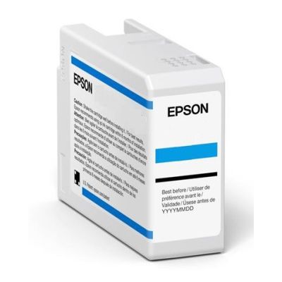 2. Epson Ink Light cyan (C13T47A500)