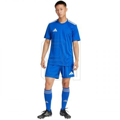 7. adidas Tastigo 25 M JN7159 shorts