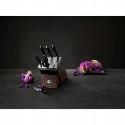 11. ZWILLING PRO knife set in block 38448-007-0 (6 pieces)